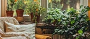 Five Vastu-Friendly Indoor Flora That Attract Prosperity and Positivity