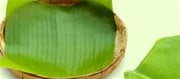 How Banana Leaf Can Assist Lower Your Tiers
