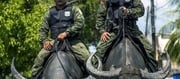 Meet the Buffalo Cops of Brazil