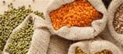 Nutritionist Stocks Fitness Benefits. Of Some Common Dals (Pulses)