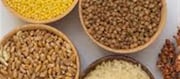 Rice, Wheat, Or Millet: Which Carbohydrate Choice Is Higher In Your Food?