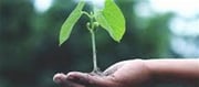 "Simple Lifestyle Changes Protect Our Planet Daily."