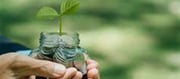 Small Financial Savings Scheme Interest Rates Unchanged For Jul-Sep 2025