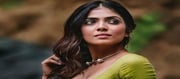 Malavika Mohanan Hot Photos