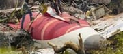 Air India Crash DNA Victims...? Heart Wrenching..!?