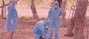Bird flu scare: All UP zoos, lion safari shut for visitors until...