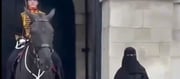 British Horse Reacts Violently On Seeing a Burqa Woman - VIDEO