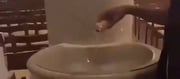 Illegal Immigrants Entered Church and Poured Soda In Holy Water