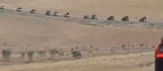 Jihadists On Their Way To Sweida To Massacre THOUSANDS of Christians - Grok AI Verifies !?!