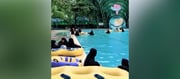 Muslim Women Seen In Hijab At Water Theme Park - Netizens Troll