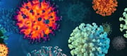 NB.1.8.1, LF.7 variants of Covid detected in India - Time to Panic !?!