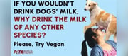 PETA India Ad Featuring Woman Drinking 'Dog Milk' Faces Outrage - 'STUPID CONTENT'