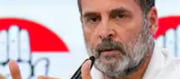Rahul Gandhi Citizenship Dispute Case Rejected ..?