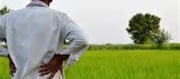 Subsequent Installment Of Kisan Yojana Can Come In So Many Days