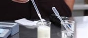 Test Milk Purity At Home With Simple Methods
