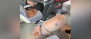 To Avoid Harassment From Muslim Men, Young French Women Buy Pet Pigs