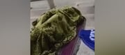 Young Couple Caught Having Sèx In Broad Daylight At A Railway Station In Front of Hundreds