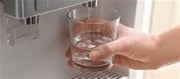 Morning Ingesting Behavior That Assist You Lose Weight