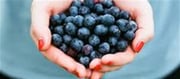 Blueberries vs. Kala Jamun: Which One Is Healthier?