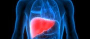 Is Your Liver Overloaded? 6 Signs It Needs a Detox