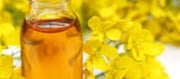 Mustard Oil Or Delicate Cooking Oil – Which One Is Healthier?