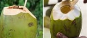 Specialists Warn Now Not To Directly Drink Water From Coconut
