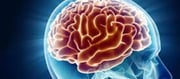5 daily behaviors that strengthen your brain!