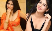 Actress Kashish Vohra Latest Hot & Spicy Stills
