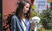 Ana de Armas Spotted carrying her Puppy while walking out in Los Angeles