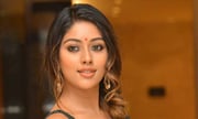 Anu Emmanuel looking gorgeous at the Sailaja Reddy Alludu Success Meet