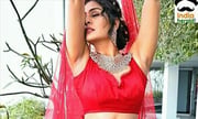 Payal Rajput Red Hot Waist and Navel Photos