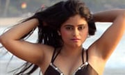 Seethal sidge latest hot photo stills