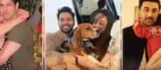 They have become parents to a daughter ..?