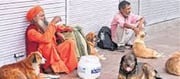 A woman troubled by stray dogs in Delhi appealed to Rekha Gupta!