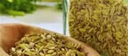 Jeera Water Or Saunf Water: Best For Fat?
