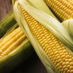 Corn