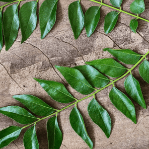 Curry leaves