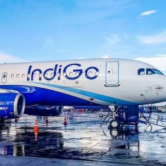 indigo airlines