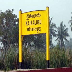 Kaikaluru