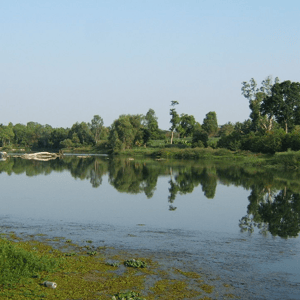 Kaveri river
