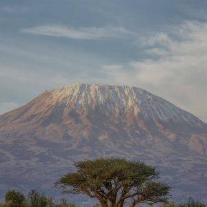 Kilimanjaro