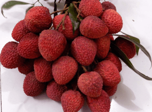 Lichi