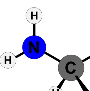 Amino acids