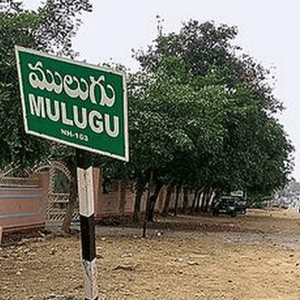 Mulugu