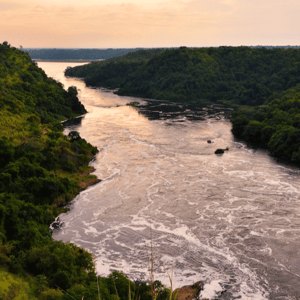 Nile