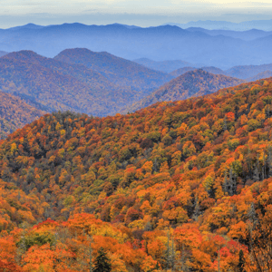 North Carolina