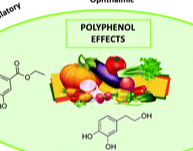 Polyphenol