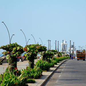 Pondicherry