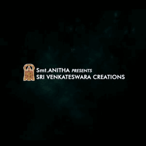 Sri Venkateshwara Creations