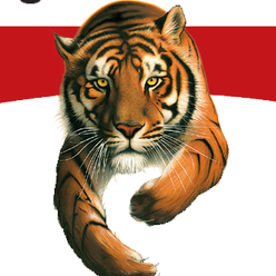 Tiger Company Production
